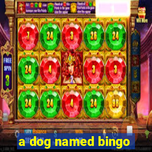 a dog named bingo